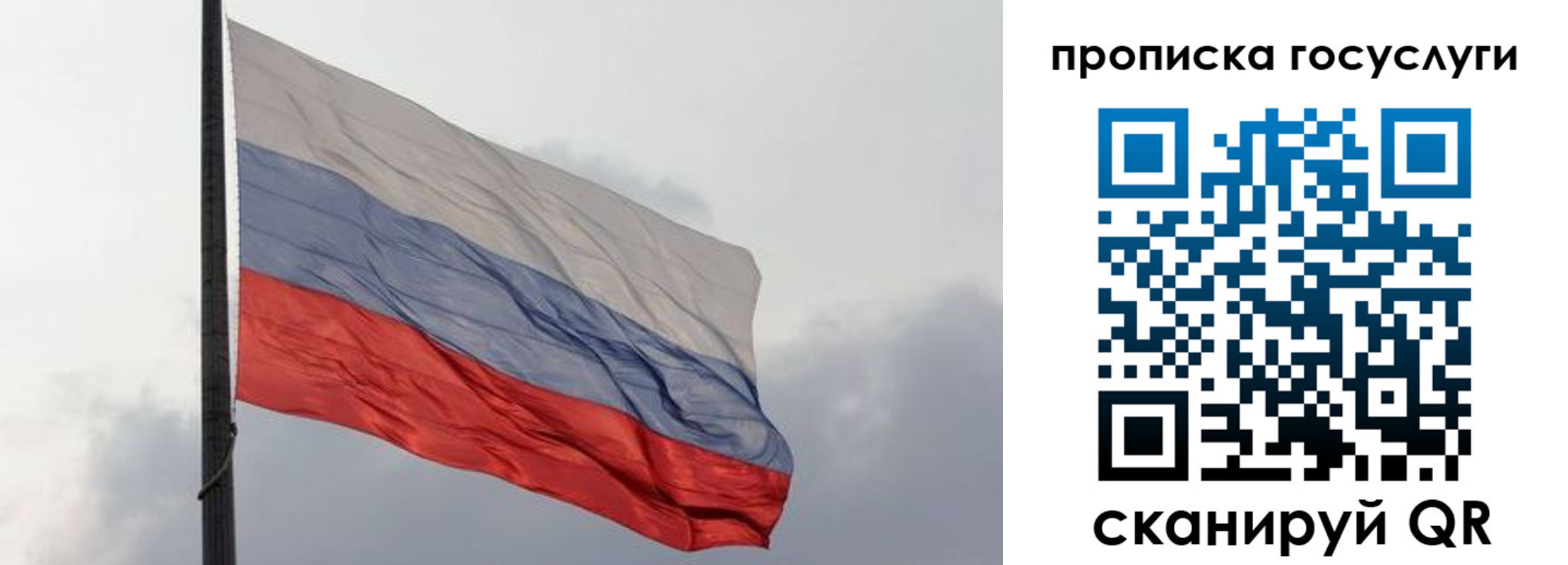 временная регистрация в квартире в Мончегорске